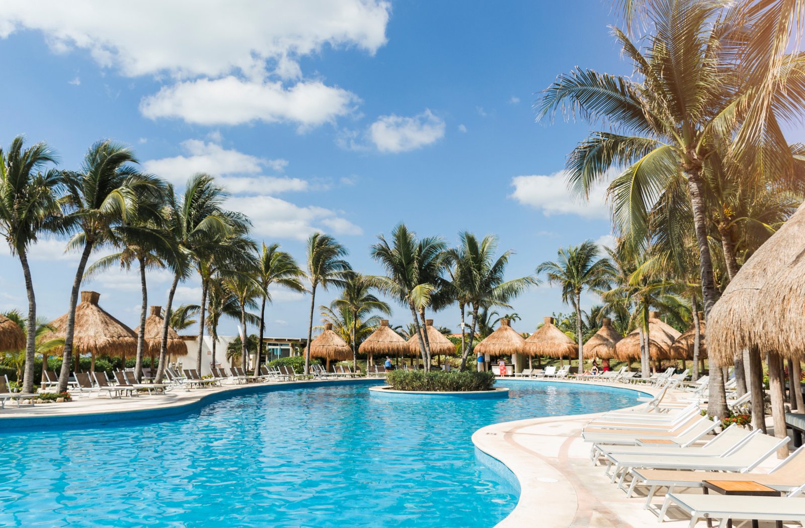 Tips for Top Quality Pics and Quantity