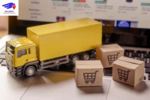 How NM Cargo Shipping and Mover Service Ensures Safe Deliveries